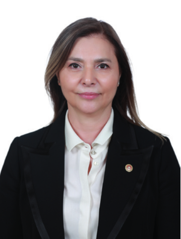 Ayşe Sibel ERSOY